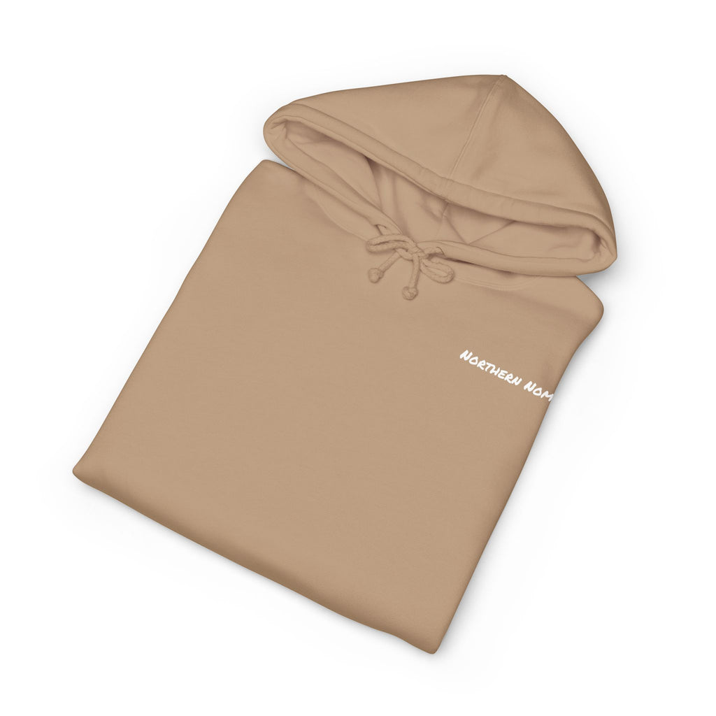 Aviator Hoodie — Vintage Mountain Plane Graphic Pullover
