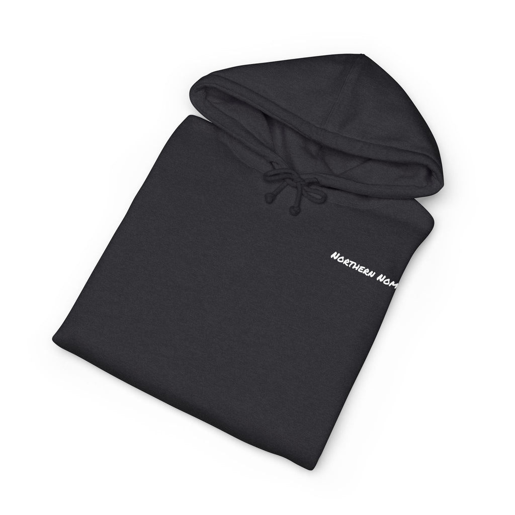Aviator Hoodie — Vintage Mountain Plane Graphic Pullover