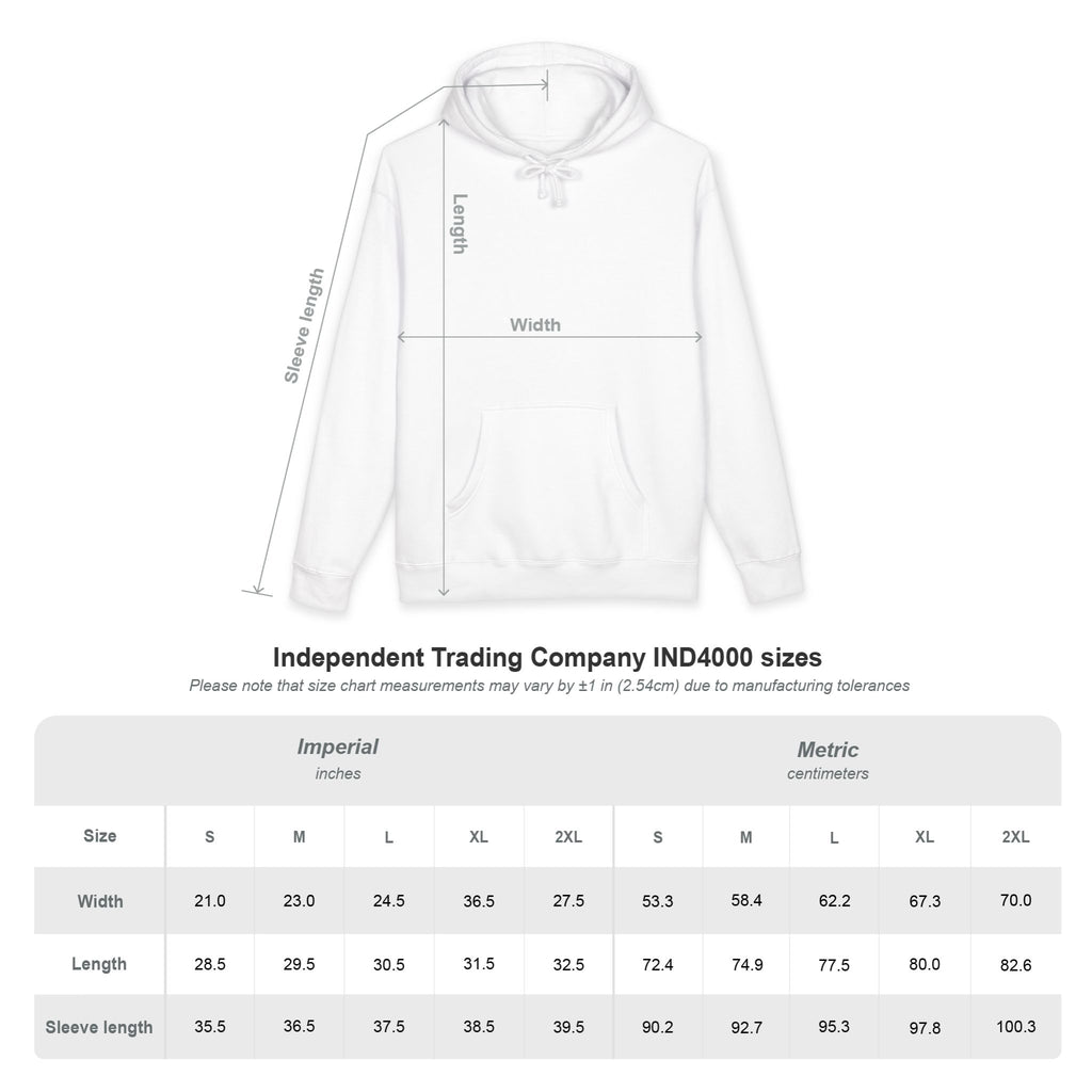 Aviator Mountain Hoodie — Red Plane Over Alpine Peaks Pullover